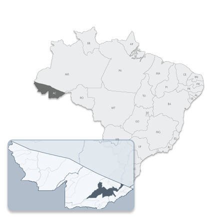 Browser Image