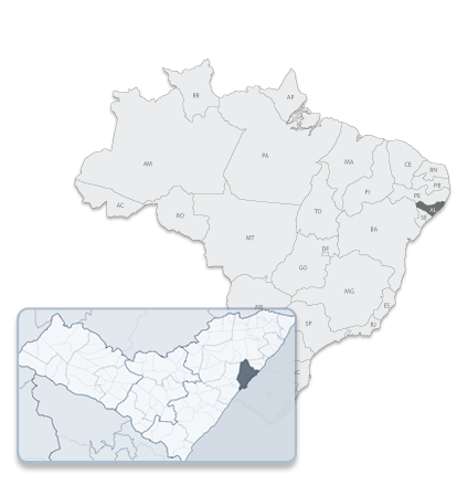 Browser Image