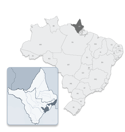 Browser Image
