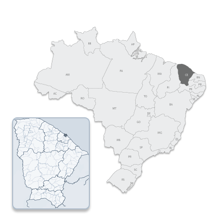 Browser Image