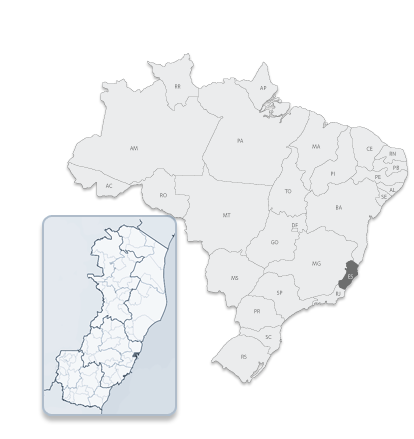 Browser Image