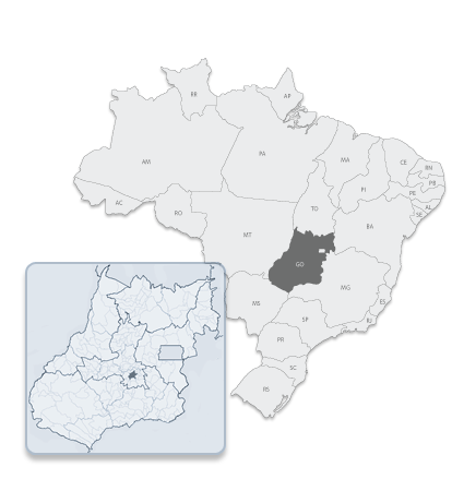 Browser Image