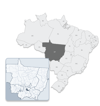 Browser Image