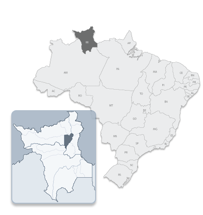 Browser Image