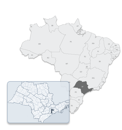 Browser Image