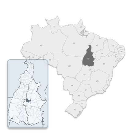 Browser Image