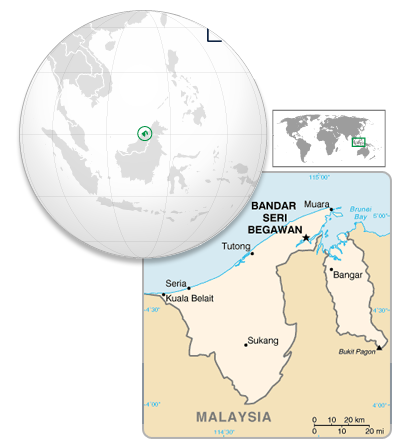 Browser Image