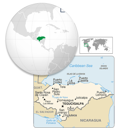 Browser Image