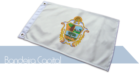 Bandeira Manaus