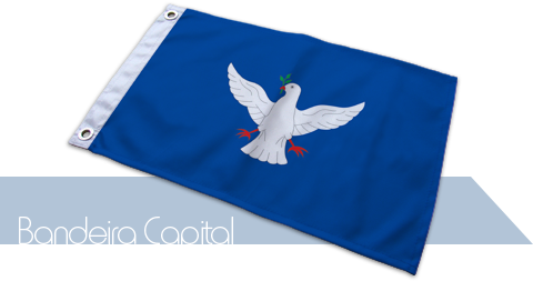 Bandeira Salvador