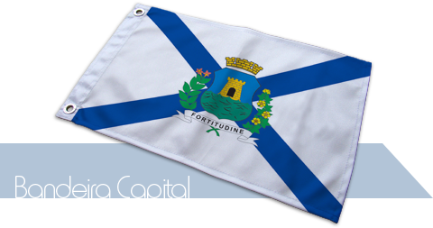 Bandeira Fortaleza