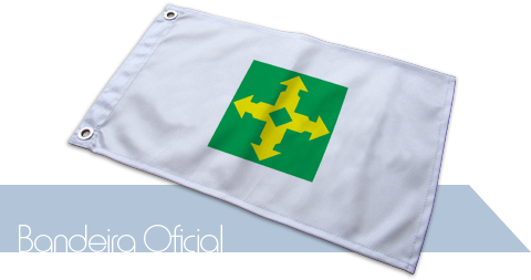 Bandeira Distrito Federal