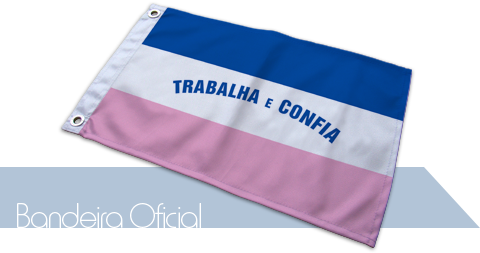 Bandeira Espírito Santo