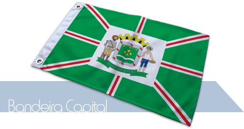 Bandeira Goiânia