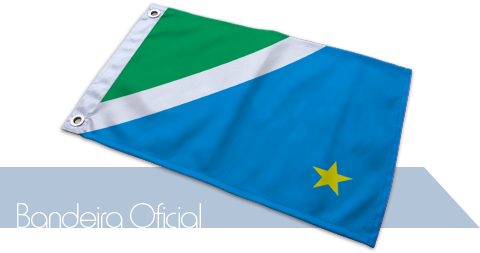 Bandeira Mato Grosso do Sul