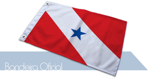 Bandeira Pará