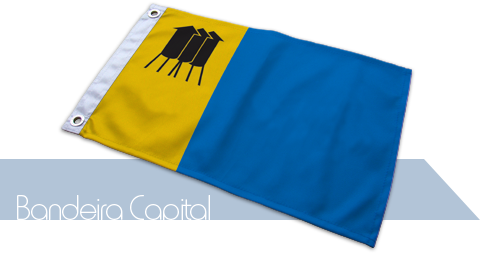 Bandeira Porto Velho
