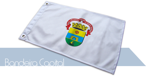 Bandeira Porto Alegre