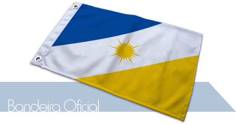 Bandeira Tocantins