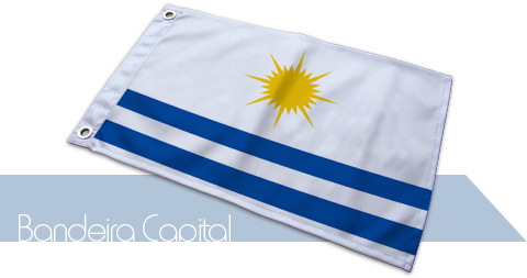 Bandeira Palmas
